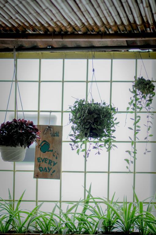 Tuti Tong Dan Homestay Hanoi Exterior foto